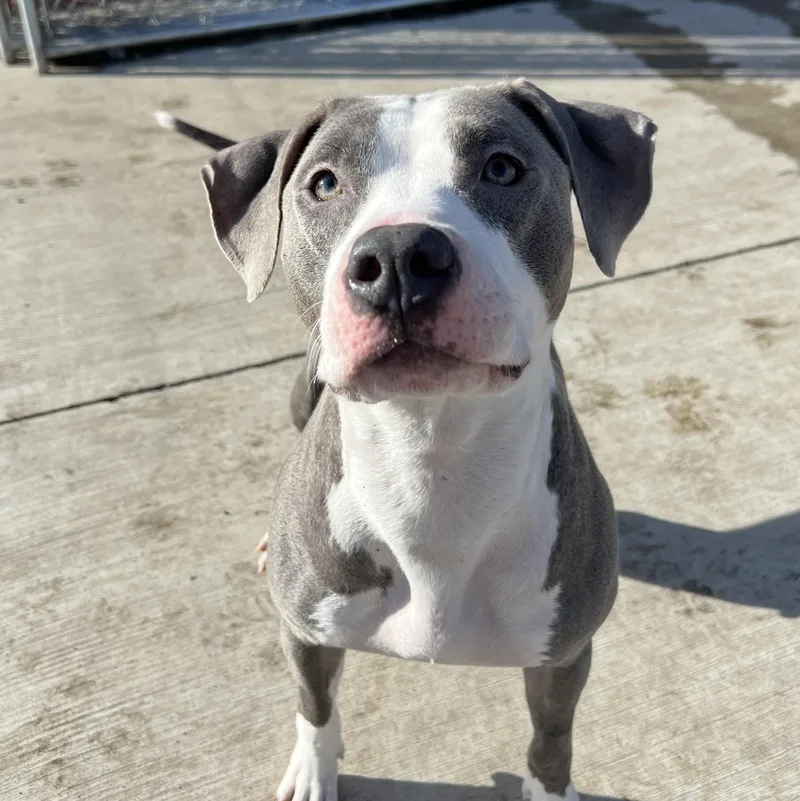 Mama June thumbnail 2