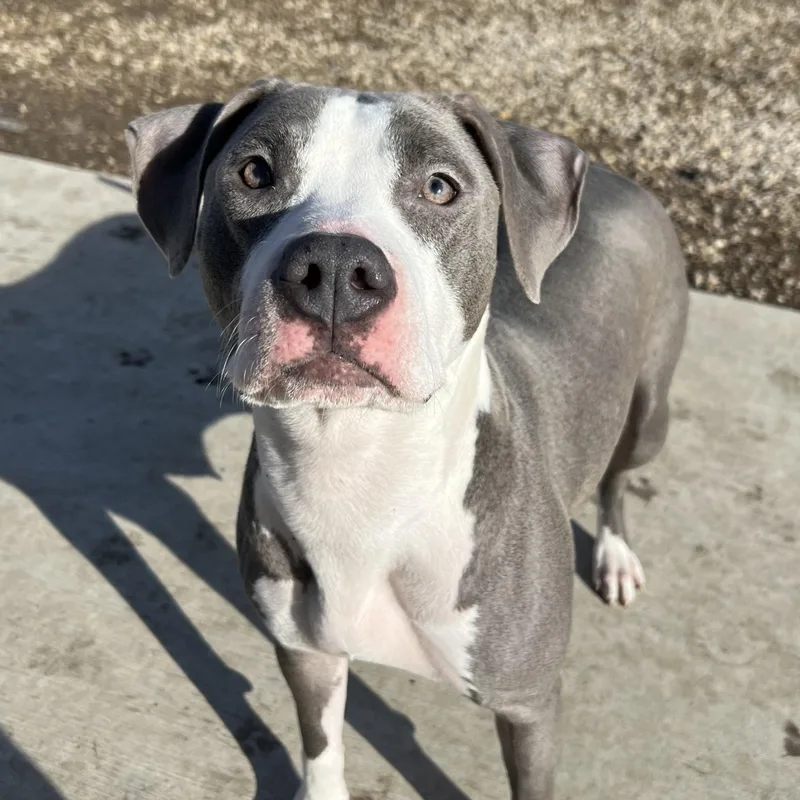 Mama June thumbnail 3