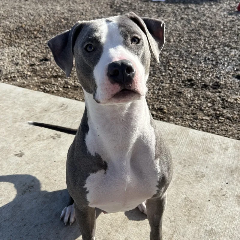 Mama June thumbnail 4