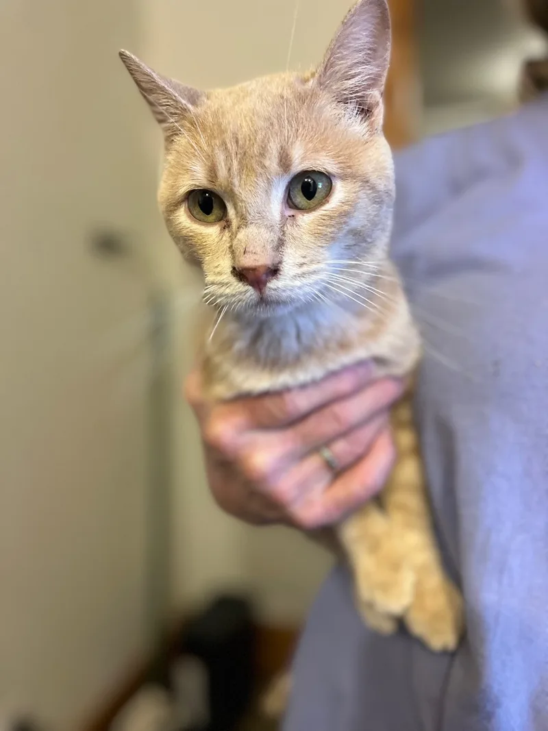 Snuggles thumbnail 2