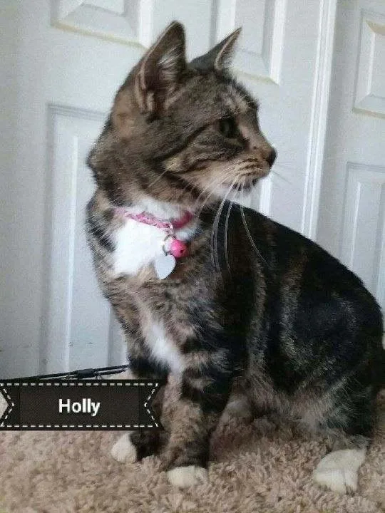 Holly