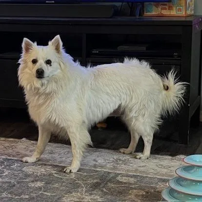 Glitters thumbnail 5