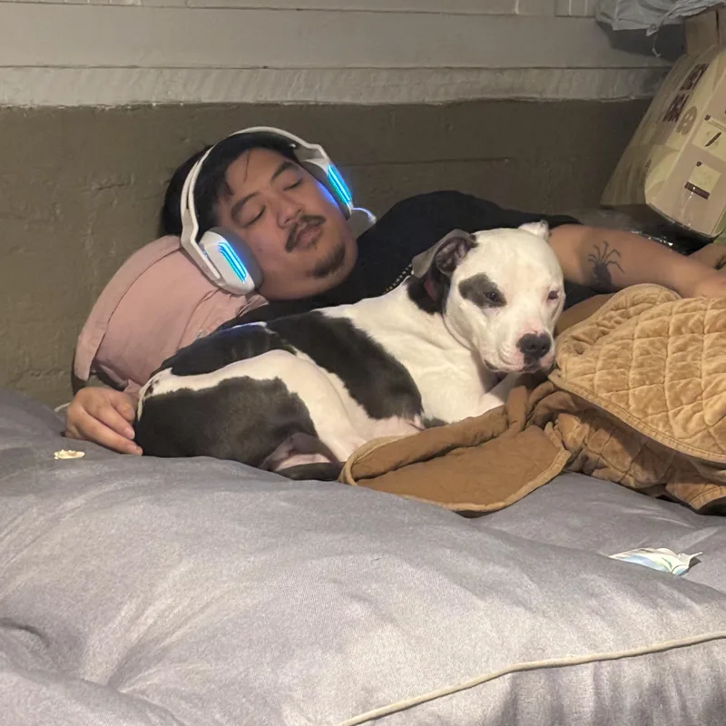 Petey~ Cuddly Bff thumbnail 3