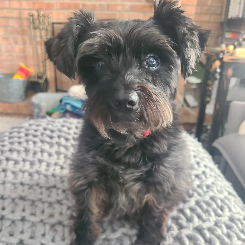 Marceline thumbnail 3