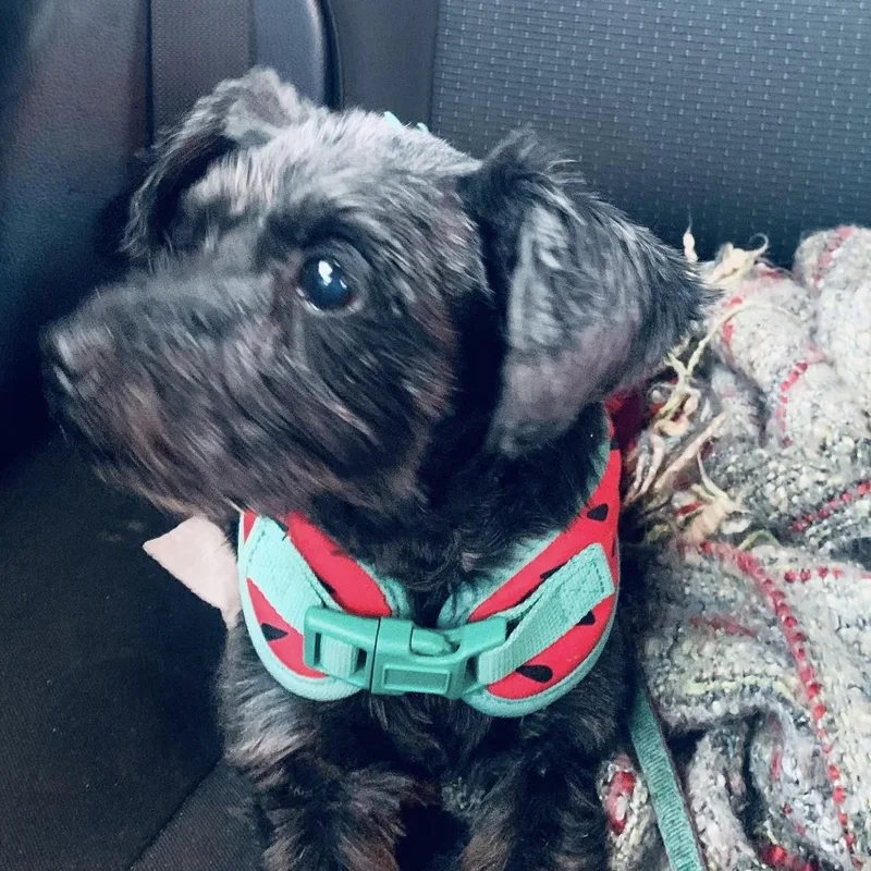 Marceline thumbnail 4