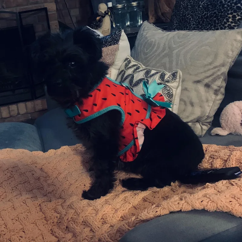 Marceline thumbnail 5