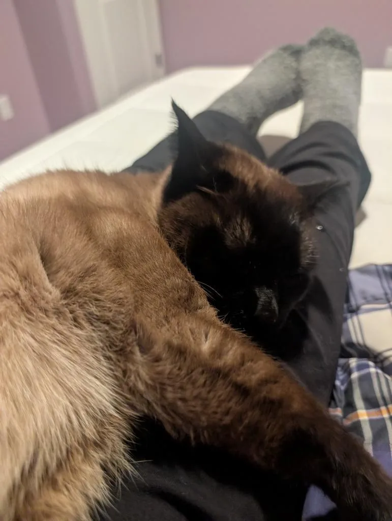 Nalano Longer Accepting Apps