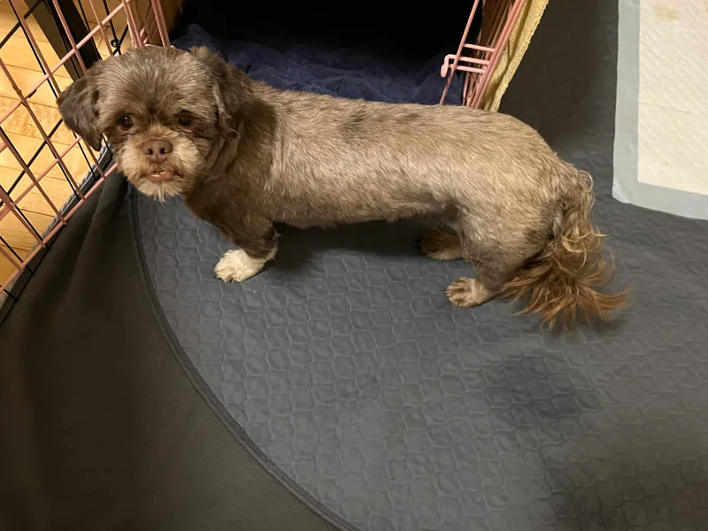 Emily: Needs Sponsors! thumbnail 3