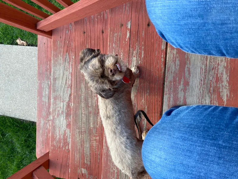 Emily: Needs Sponsors! thumbnail 5