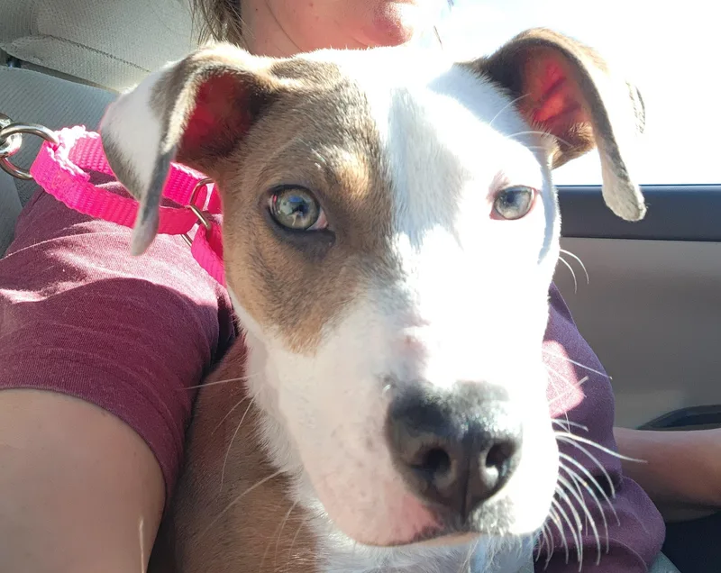 Isabella thumbnail 4