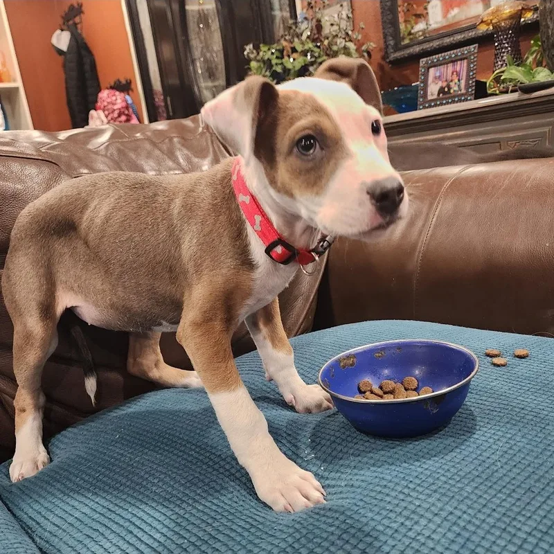 Isabella thumbnail 5