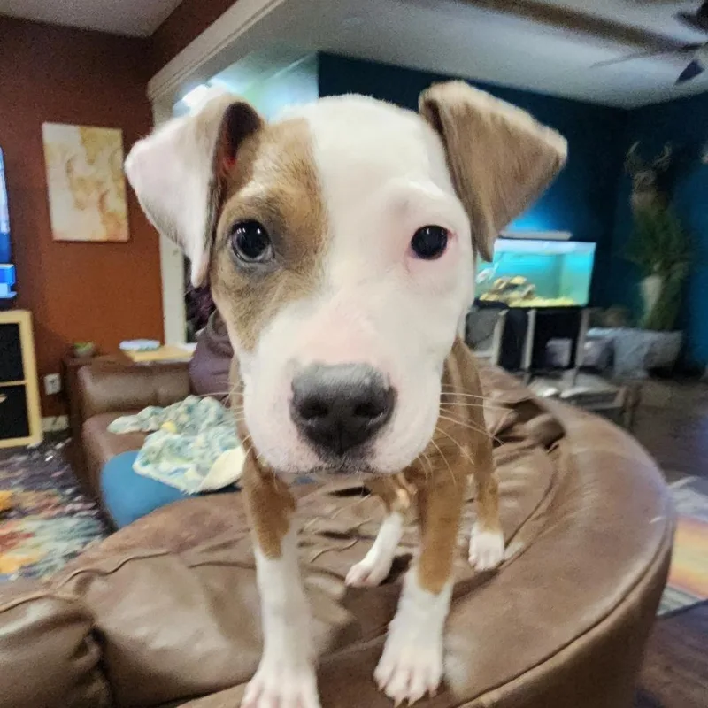 Isabella thumbnail 6