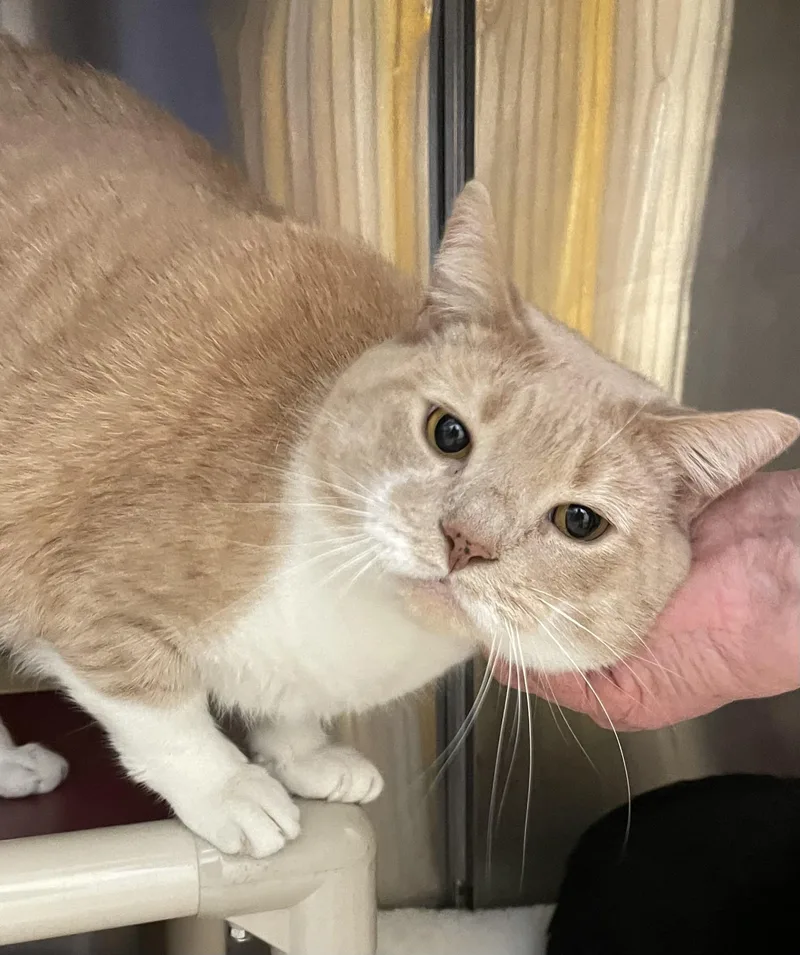 Sebastian And Roscoe thumbnail 3