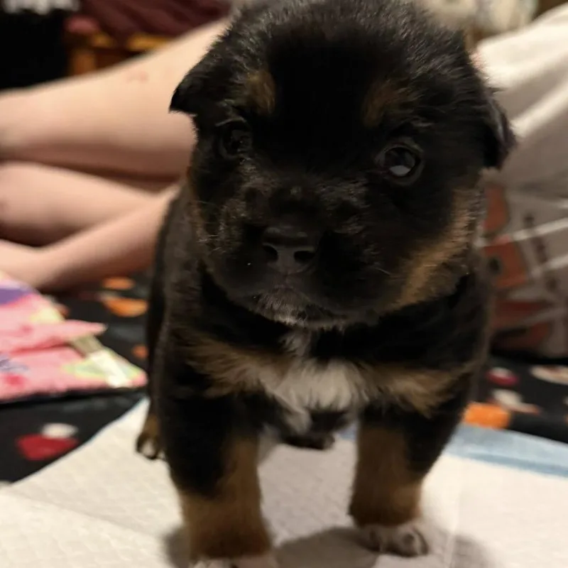 Sprout C thumbnail 2