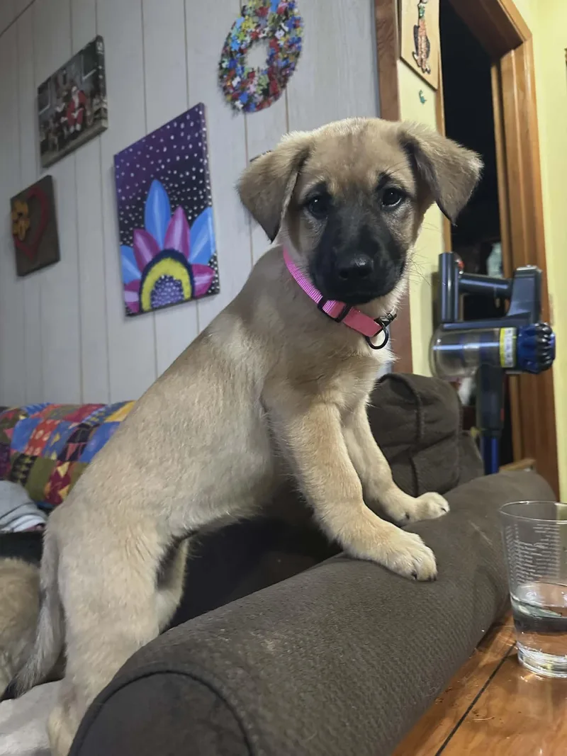 Miss Rosie Frühling thumbnail 2