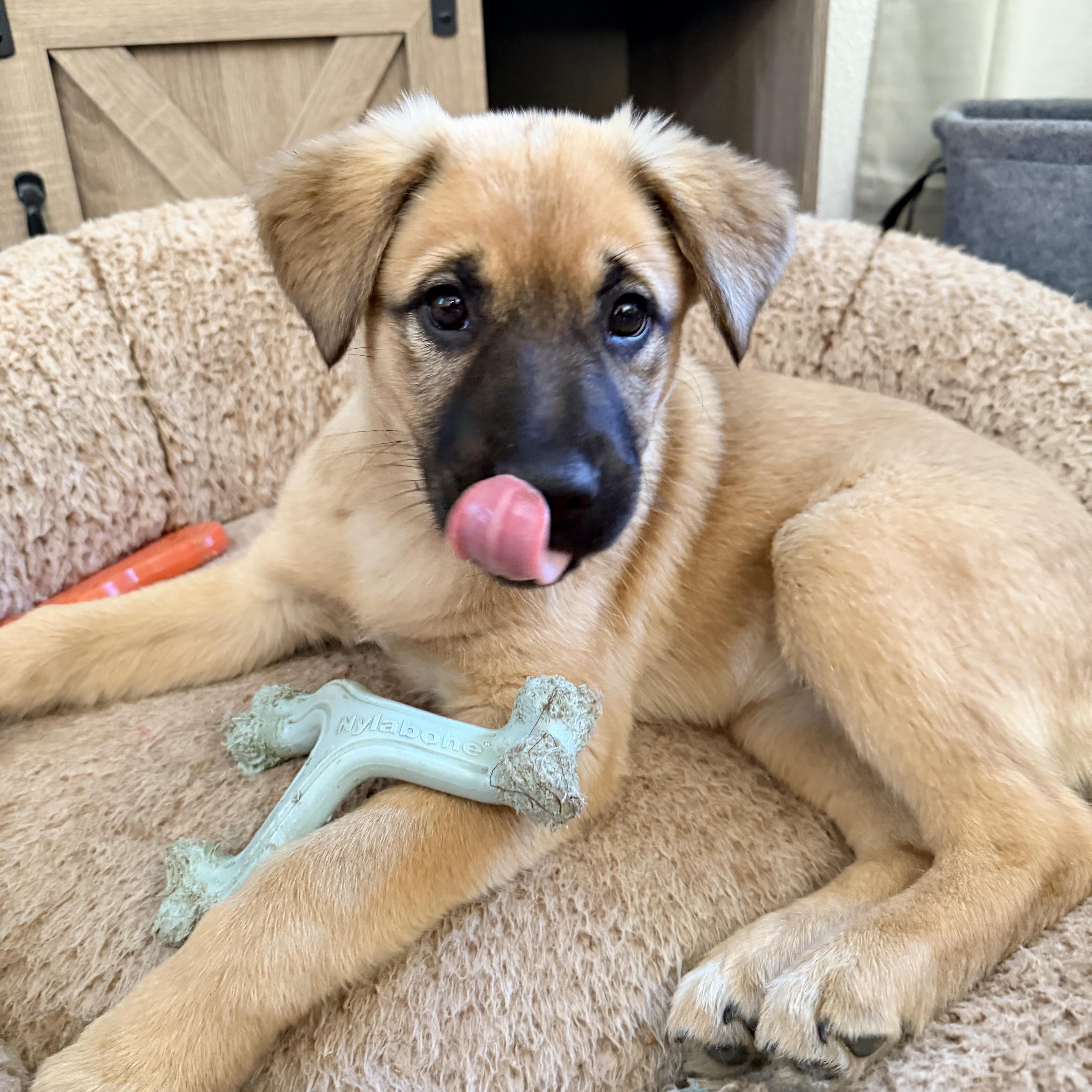 Miss Rosie Frühling thumbnail 3