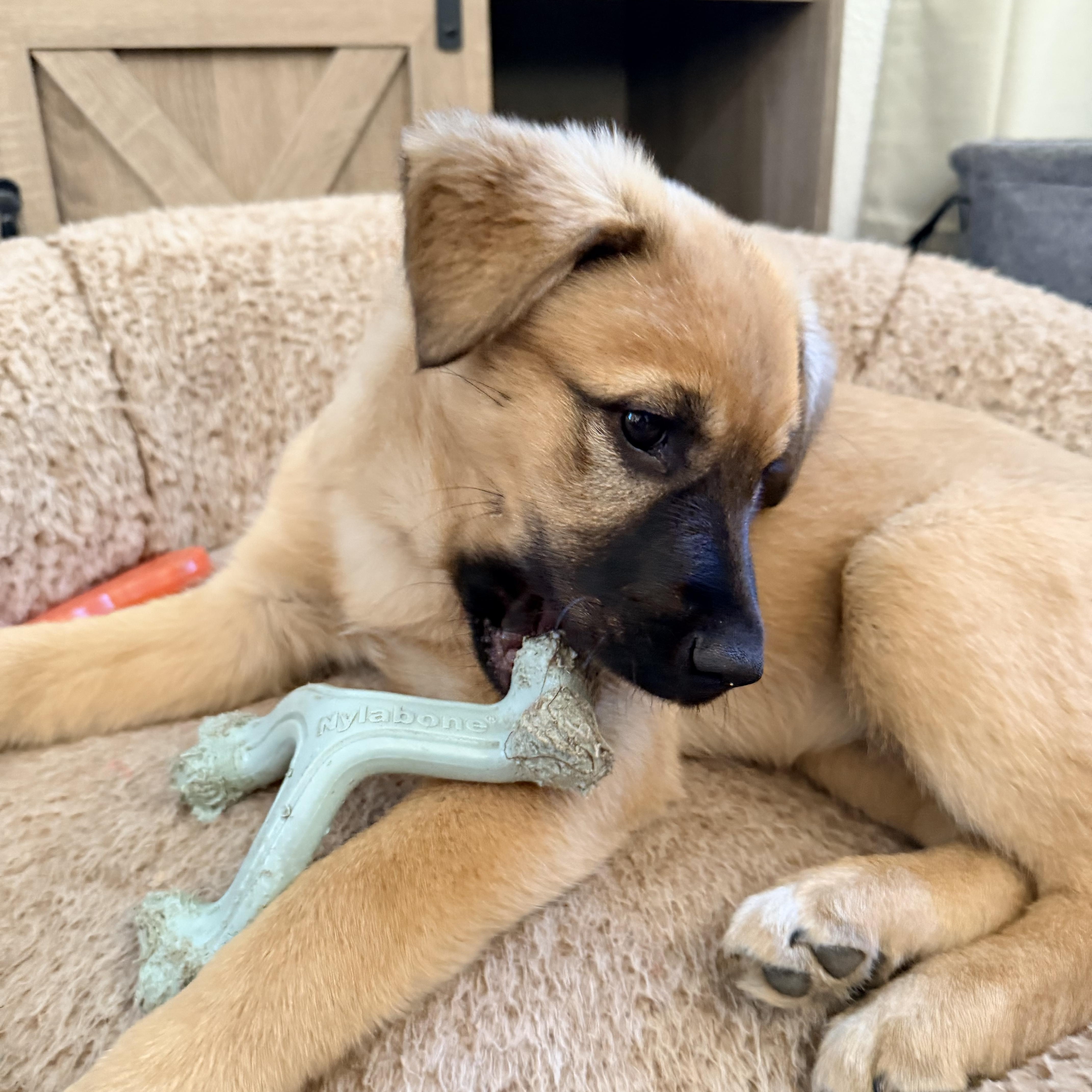 Miss Rosie Frühling thumbnail 5