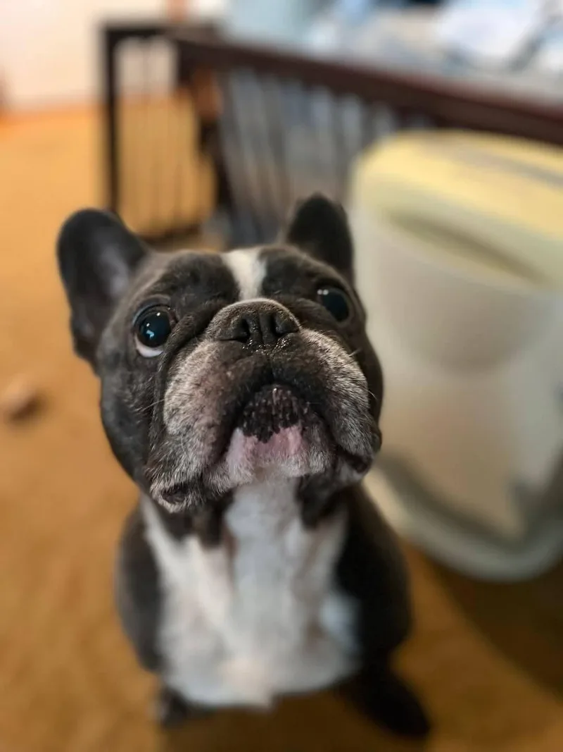 David Bowie thumbnail 3