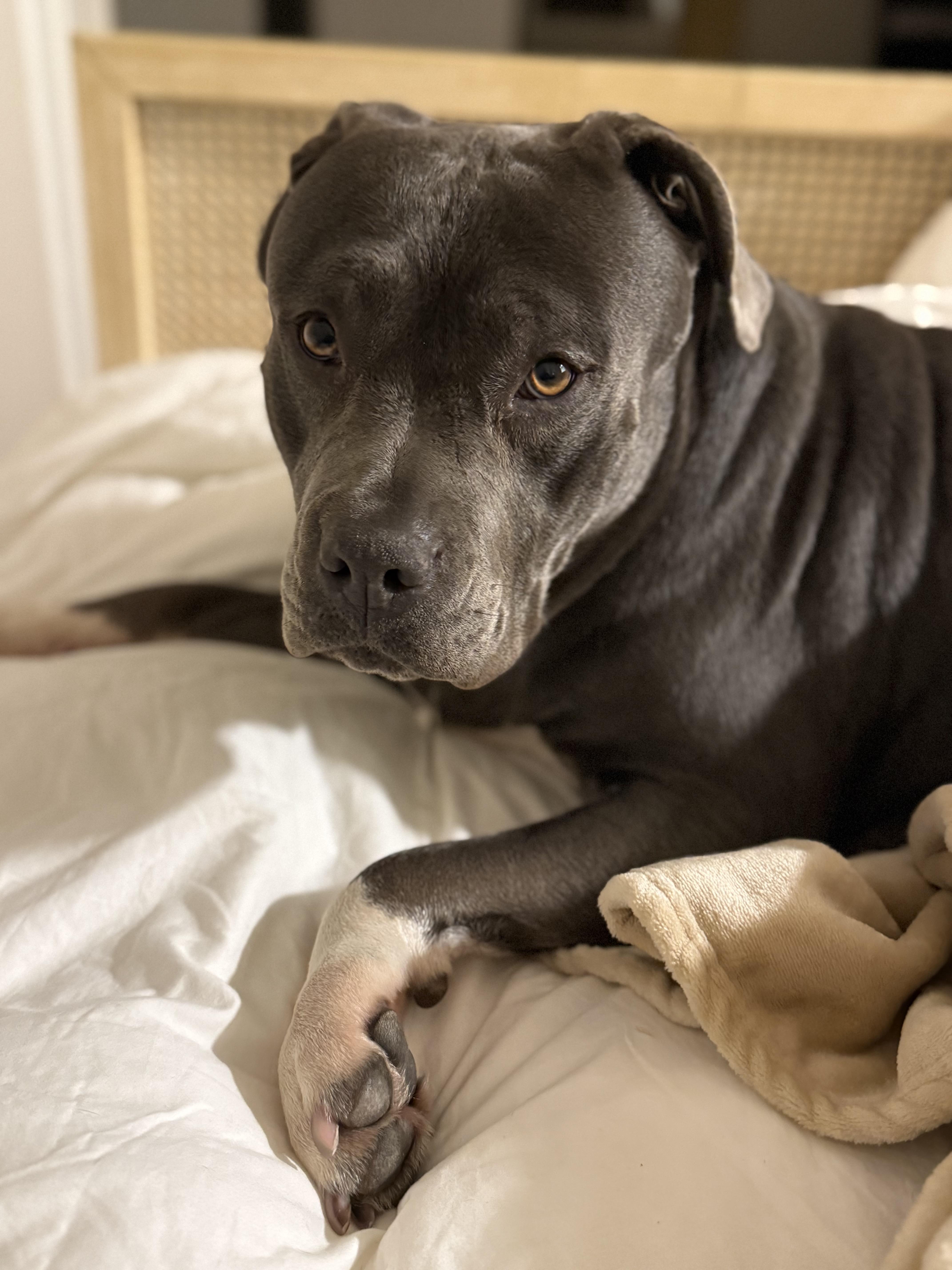 Princess thumbnail 2