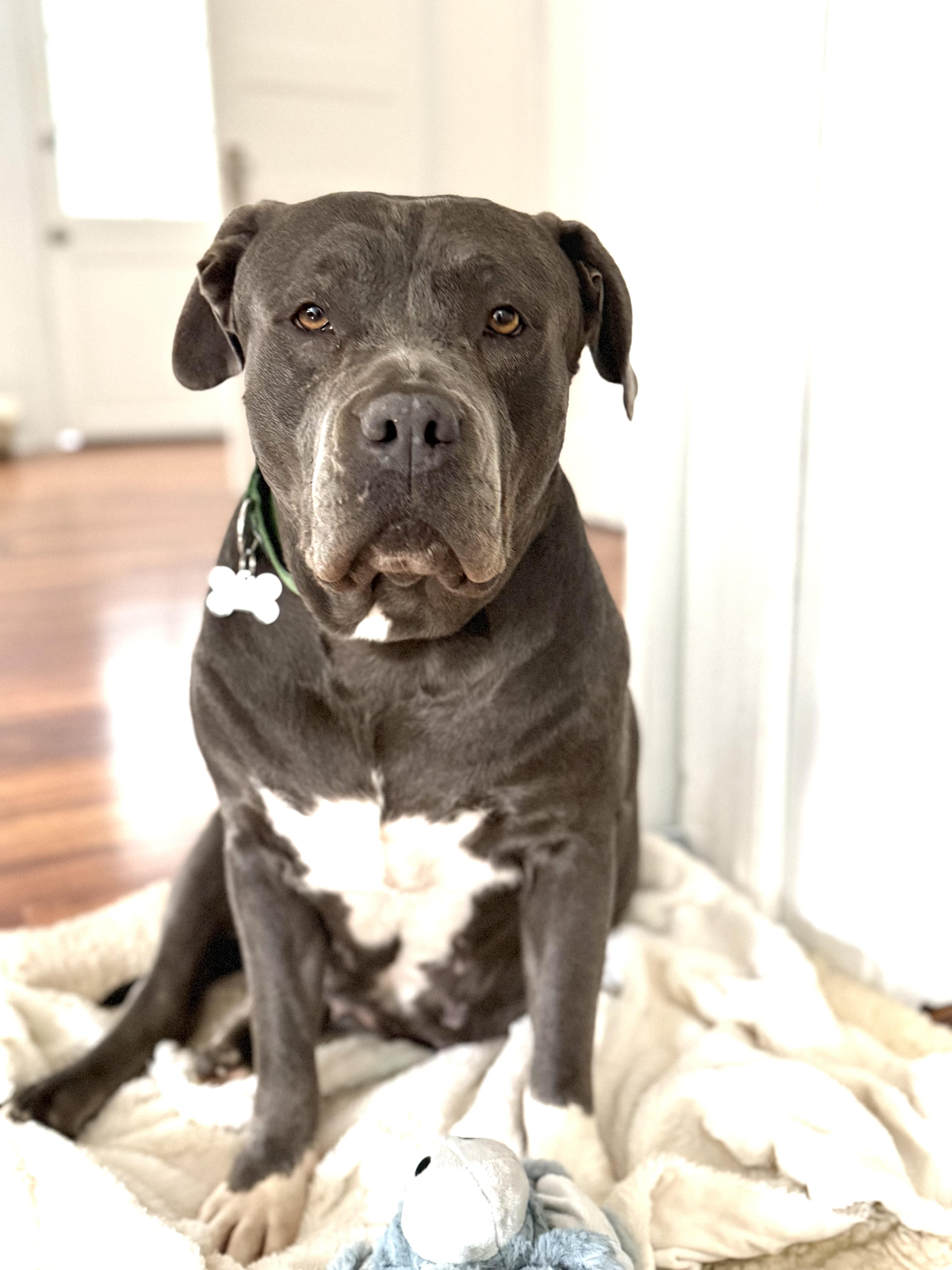 Princess thumbnail 3