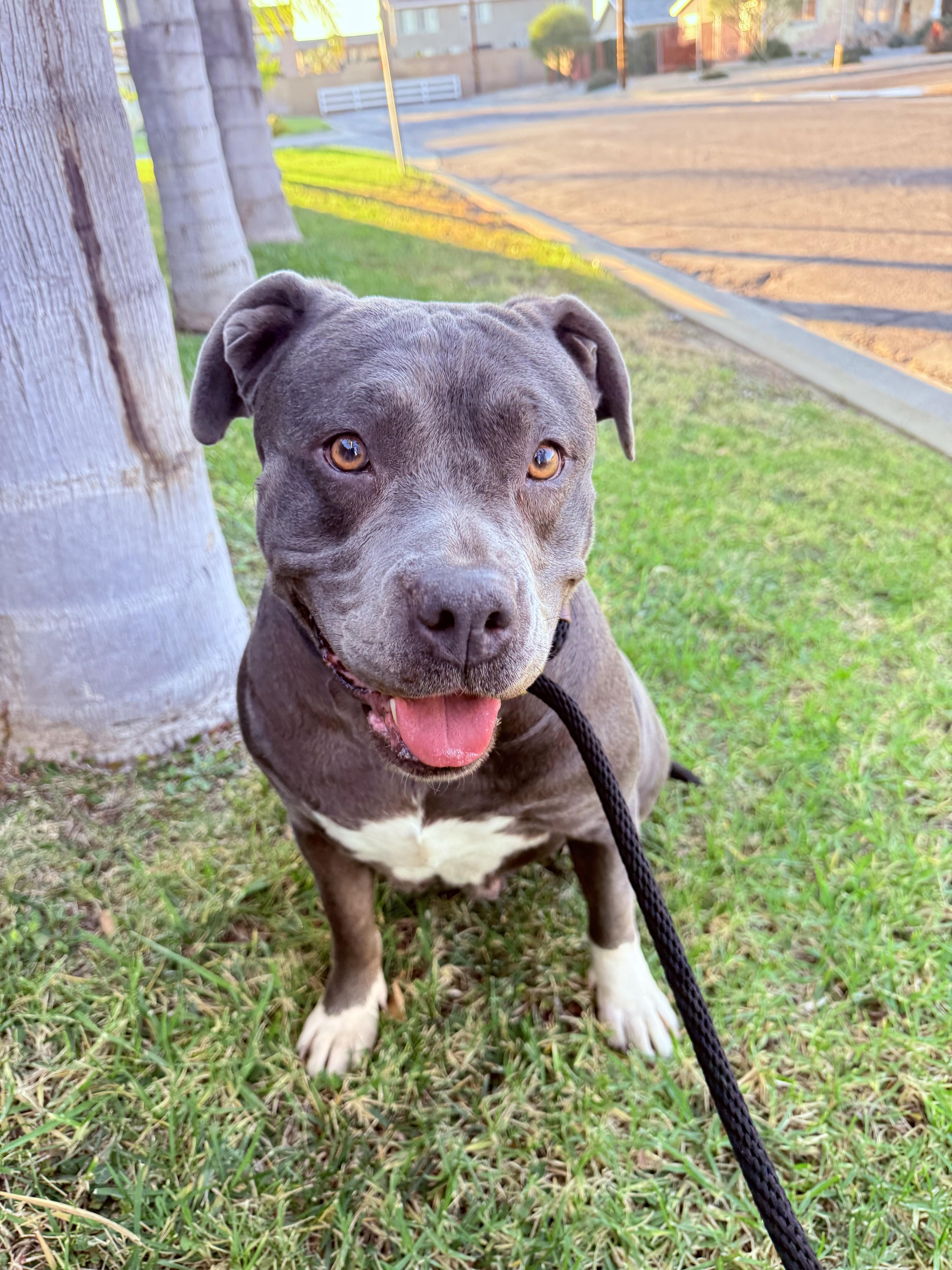 Princess thumbnail 5