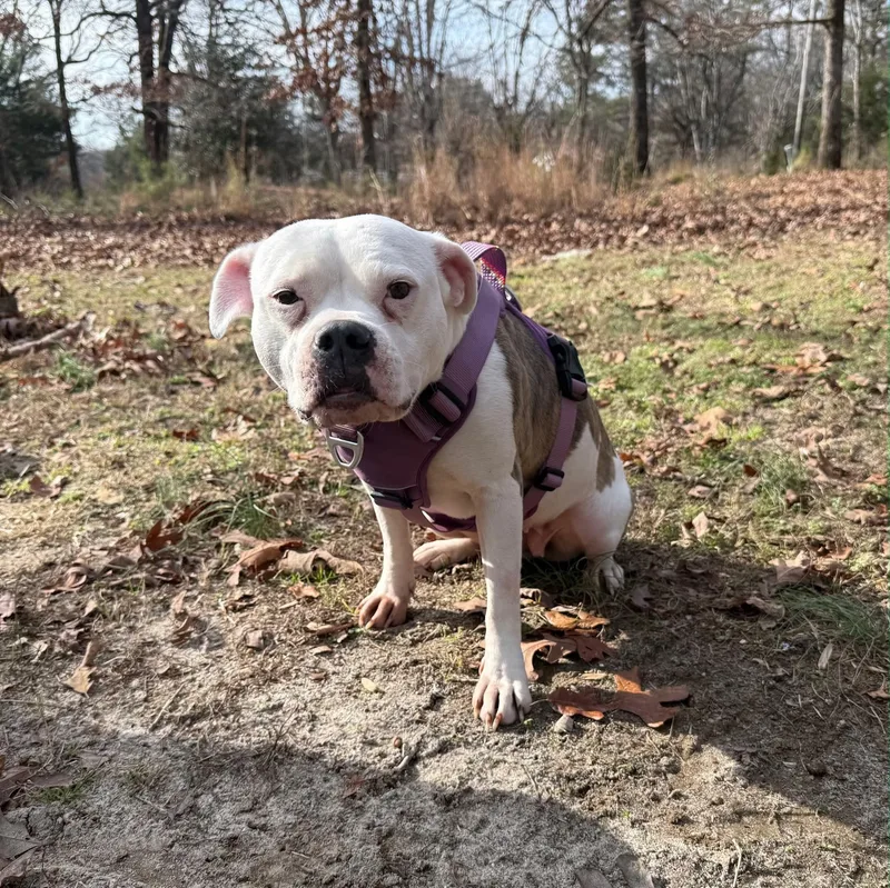 Georgia & Calhoun thumbnail 3