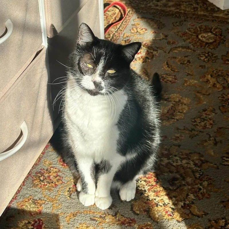 Maybelline thumbnail 2