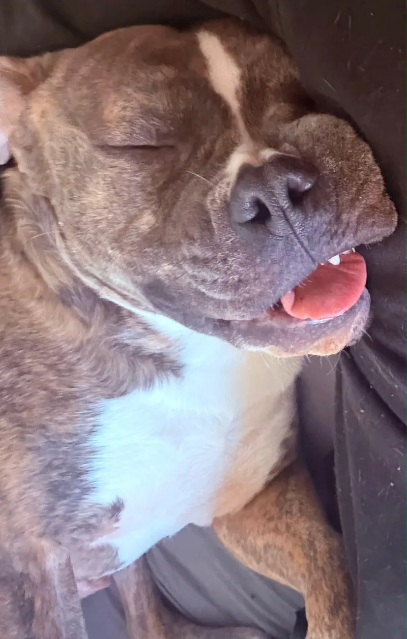 Calhoun & Georgia thumbnail 2