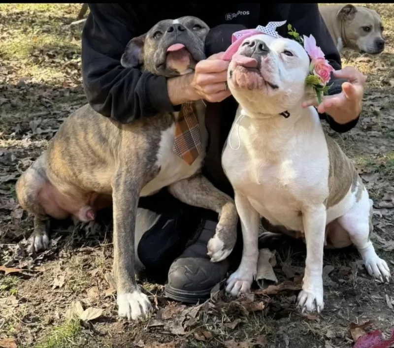 Calhoun & Georgia thumbnail 3