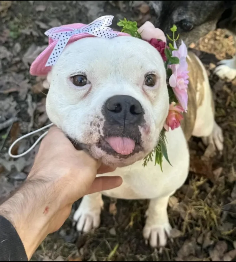 Calhoun & Georgia thumbnail 5