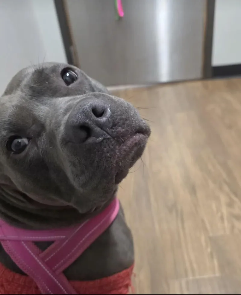 Samantha thumbnail 3