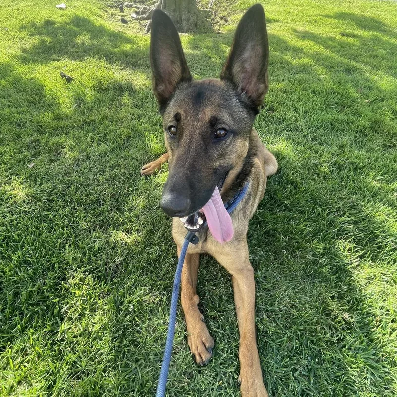 Luca Costa Mesa Location thumbnail 2