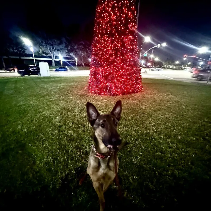 Luca Costa Mesa Location thumbnail 6