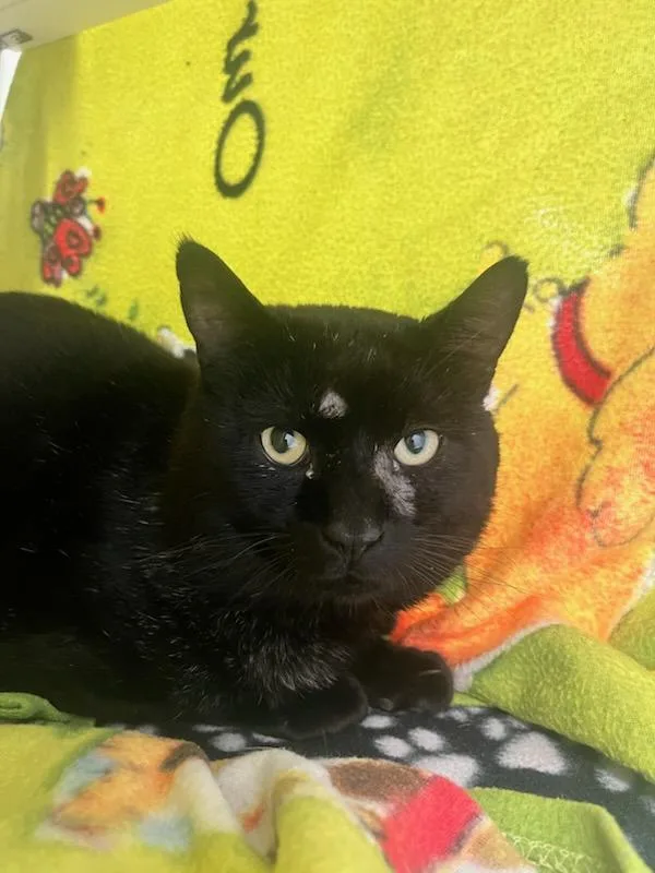 Tax Return thumbnail 2