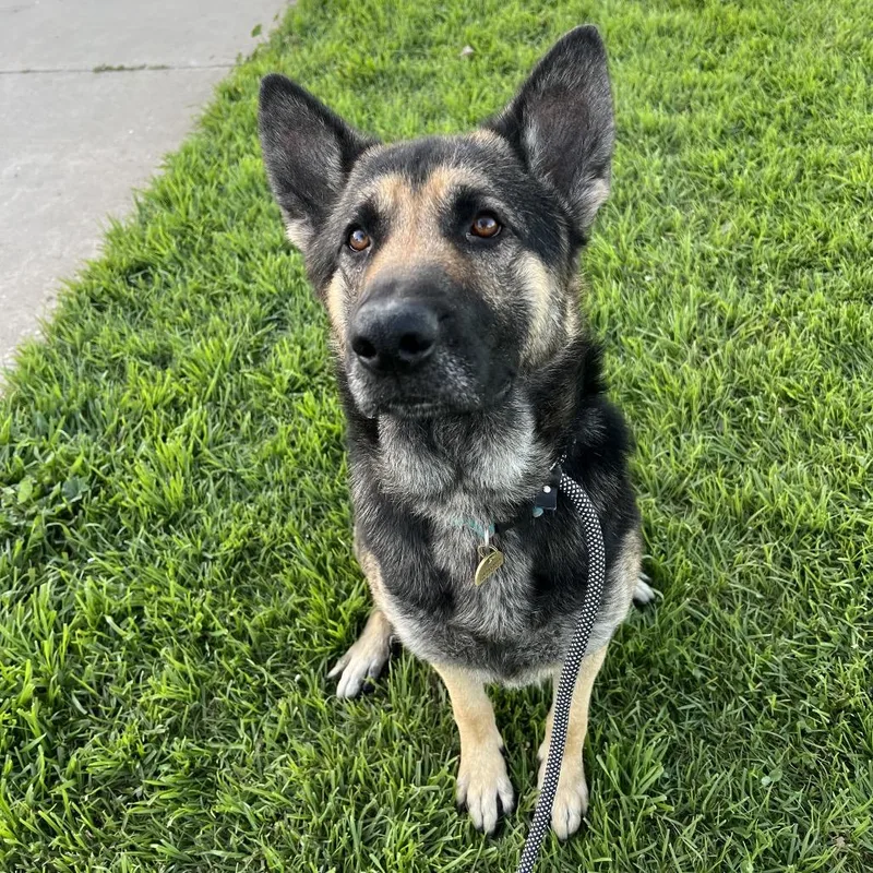 Theo Chino Hills Location thumbnail 2