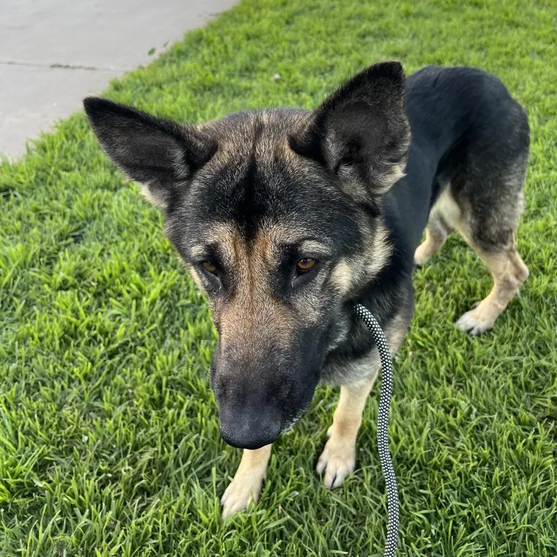 Theo Chino Hills Location thumbnail 3