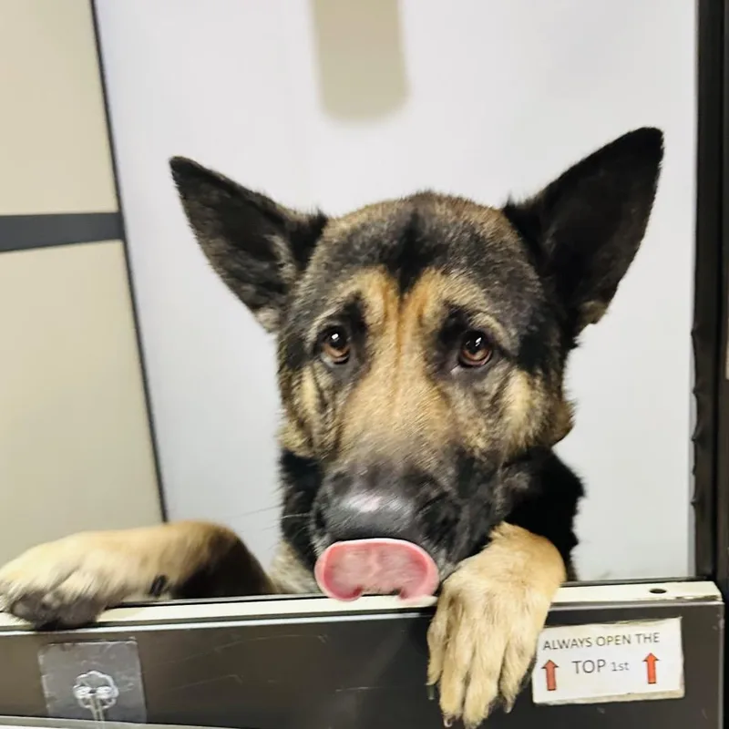 Theo Chino Hills Location thumbnail 4