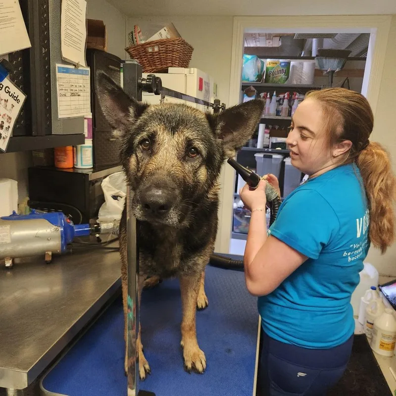 Theo Chino Hills Location thumbnail 5