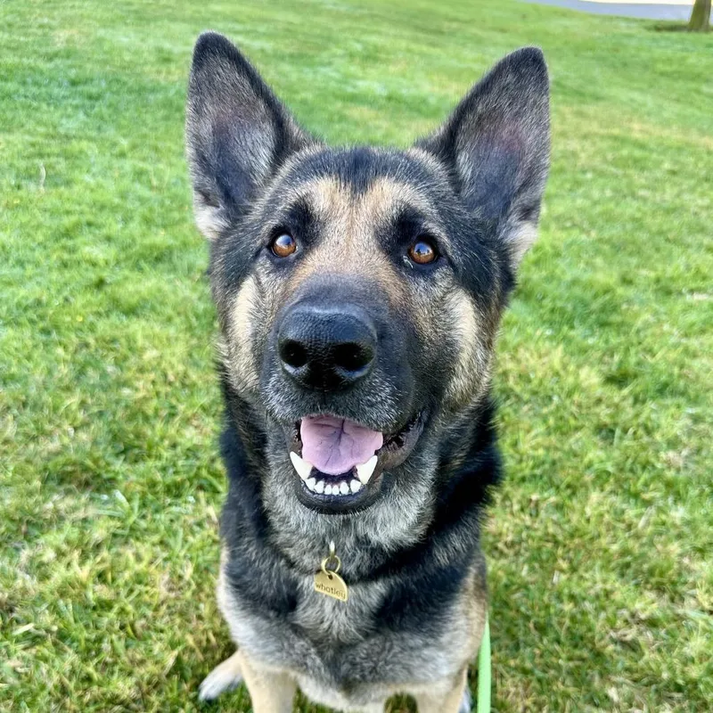 Theo Chino Hills Location thumbnail 6