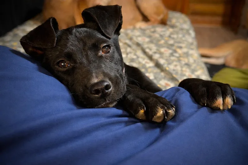 Sparkles thumbnail 2