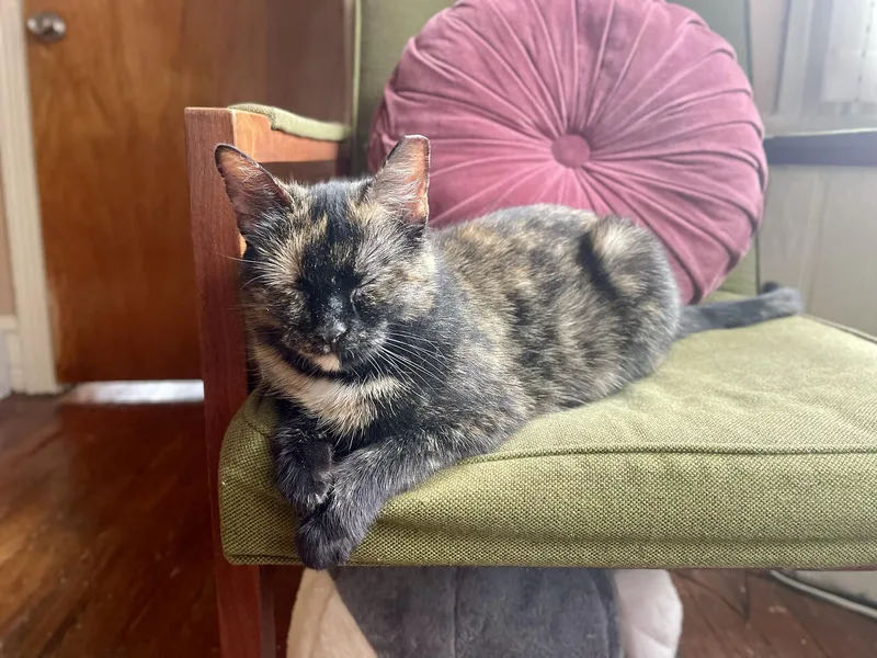 Peyton Peach thumbnail 2