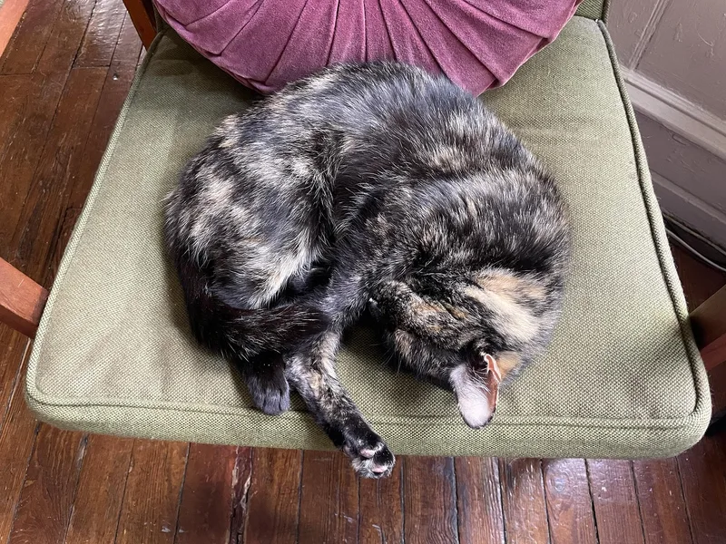 Peyton Peach thumbnail 3