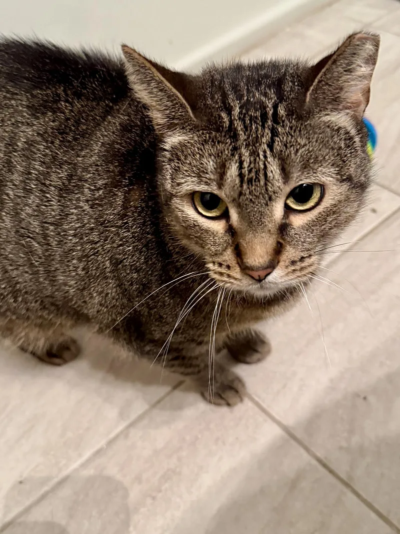 Rosa Pike thumbnail 3