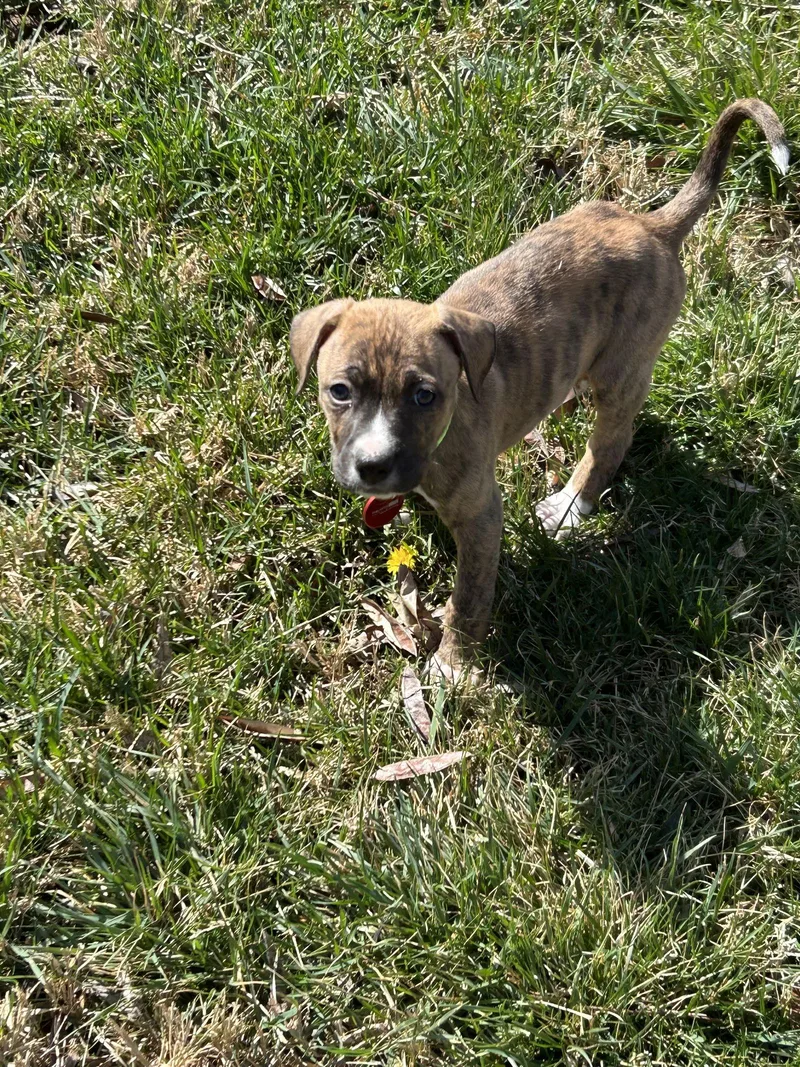 Washington thumbnail 2