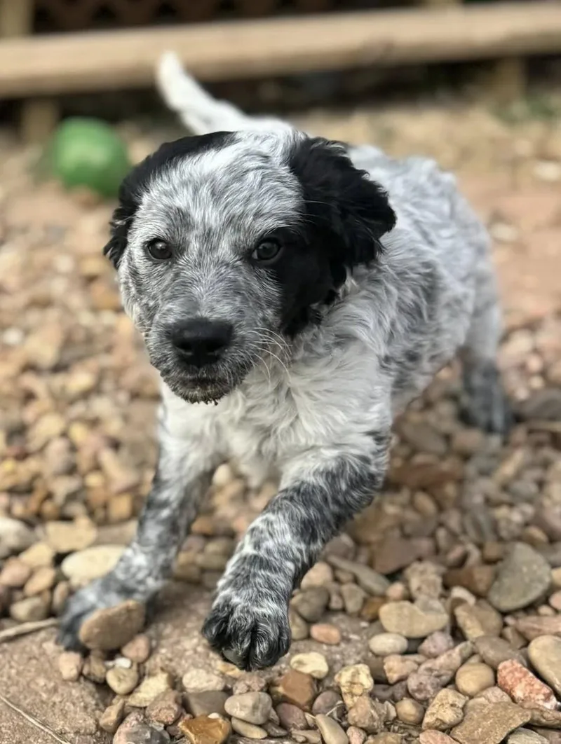 Regina George thumbnail 3