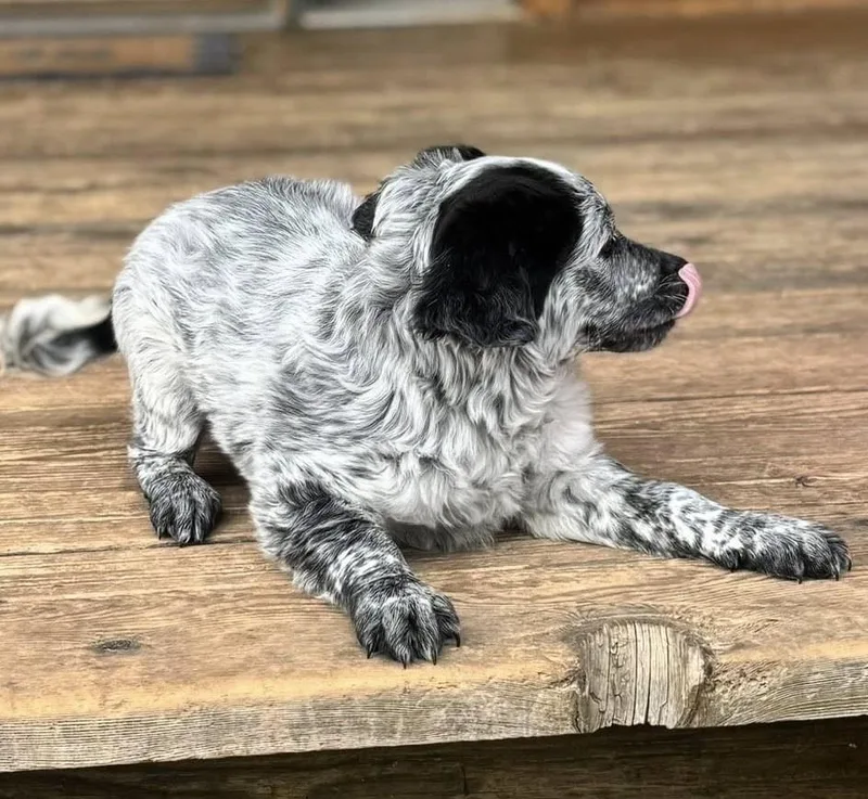 Regina George thumbnail 5