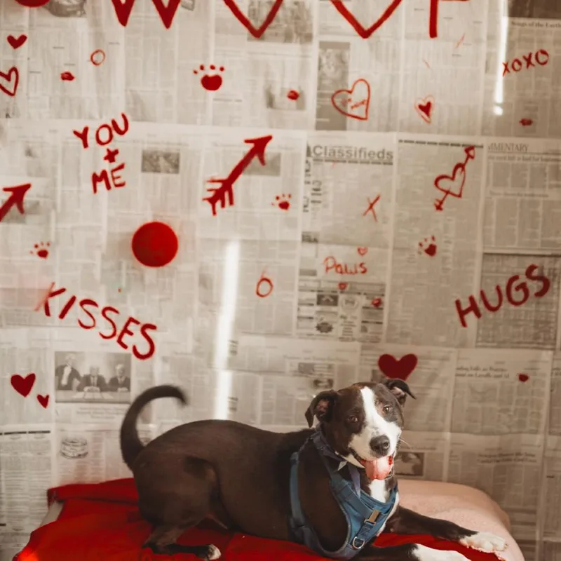 Mr. Claus thumbnail 3