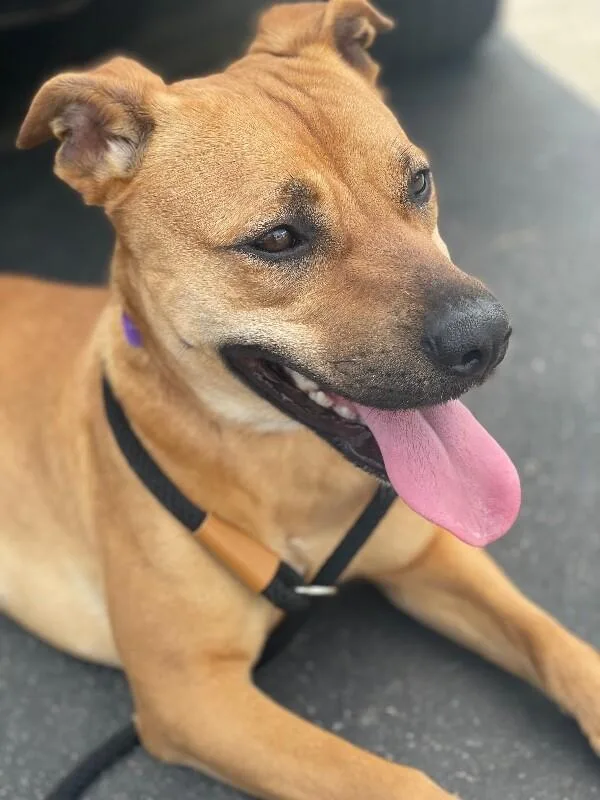 Felicity thumbnail 2