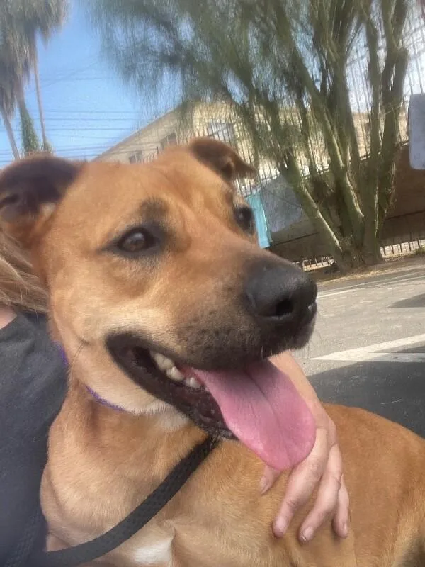 Felicity thumbnail 4