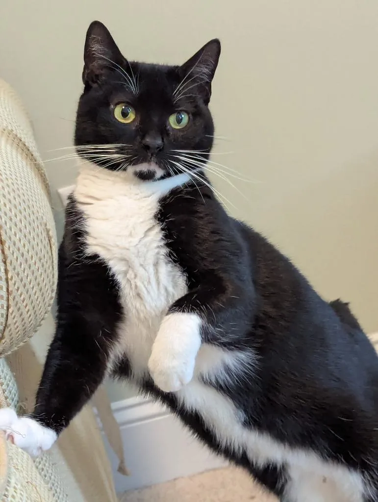 Meghan Grace thumbnail 2